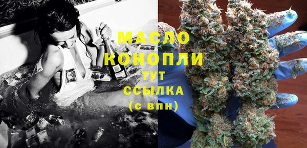индика Кулебаки