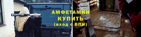 индика Кулебаки