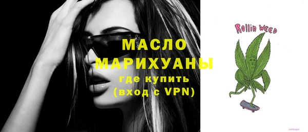 индика Кулебаки