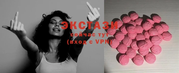 индика Кулебаки