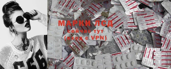 хмурый Кукмор