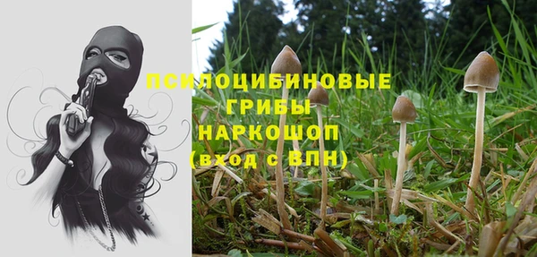 индика Кулебаки