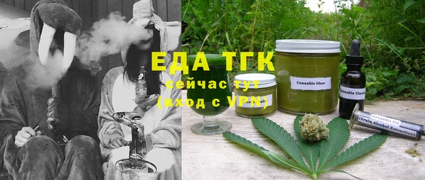 индика Кулебаки