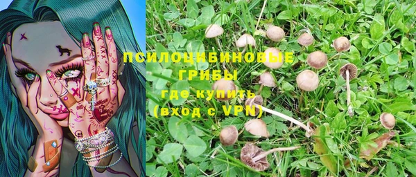 индика Кулебаки