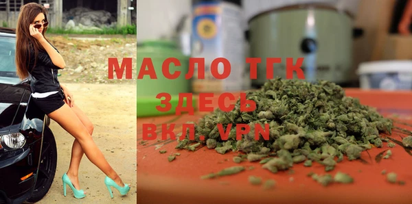 индика Кулебаки