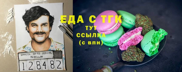 индика Кулебаки